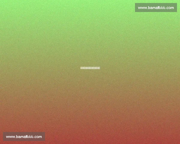 千里归途:信鸽与鸽友的坚守 千里归途:信鸽与鸽友的坚守