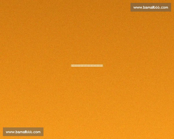 孔帕尼亲赴迈阿密观战世俱杯，拜仁备战博卡青年