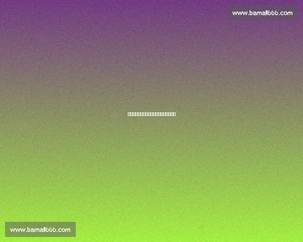 库里的三分弧线:我和搭子的十年青春修行 库里的三分弧线:我和搭子的十年青春修行