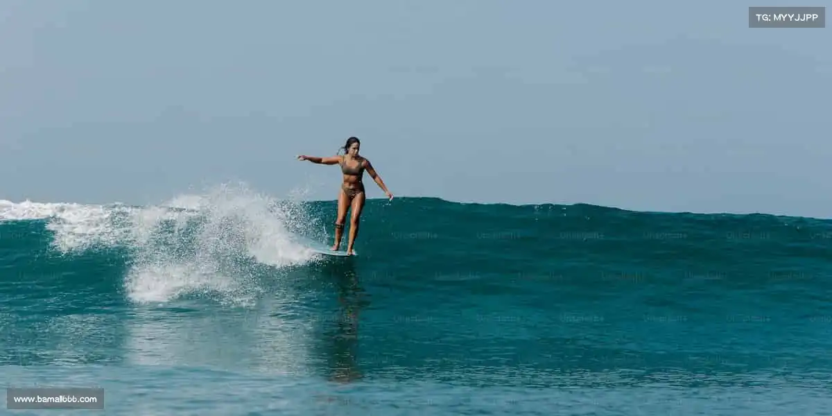 我们的核心竞争力