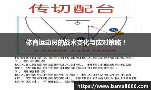 WM真人官方网站