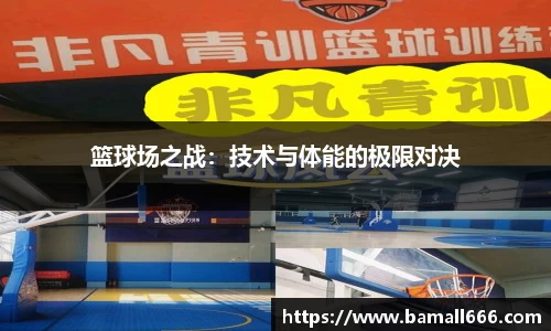 WM真人官网入口